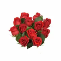 Bloom Haus Dozen Roses (Assorted Colors)