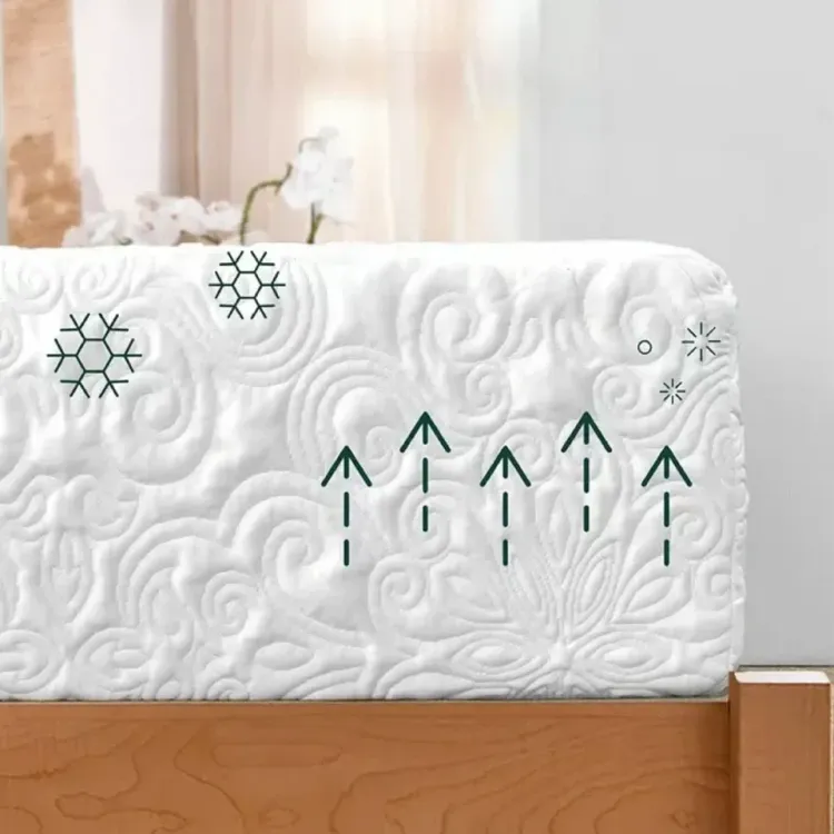 Spa Sensations by Zinus M-FMS-1200T Serenity 12" Memory Foam Mattress, Twin